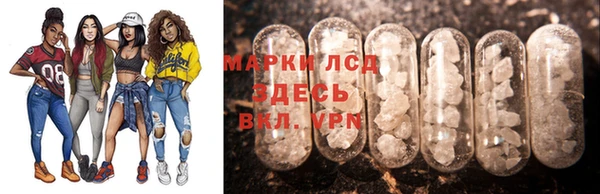 мяу мяу мука Архангельск
