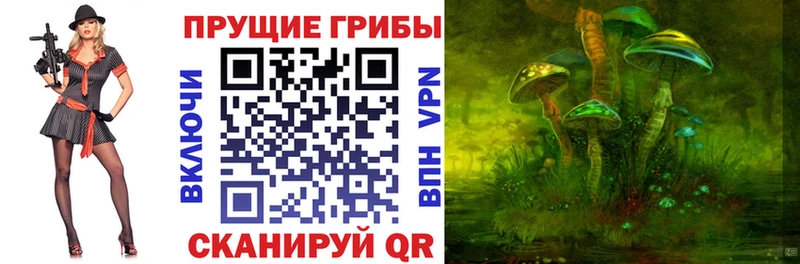 Галлюциногенные грибы Psilocybe  Иноземцево 